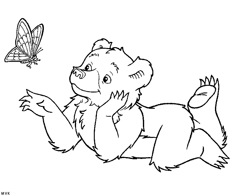 little bear003